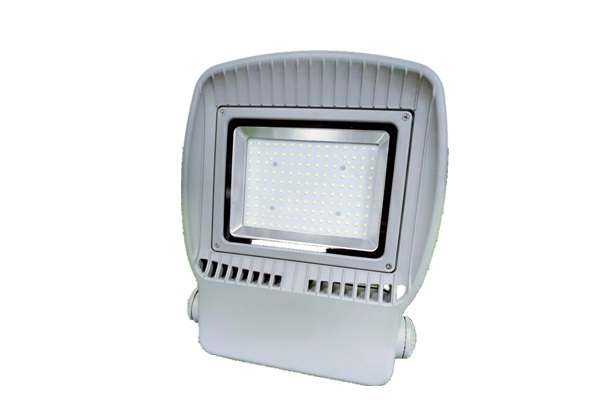 50W LED Flood Light (G series)