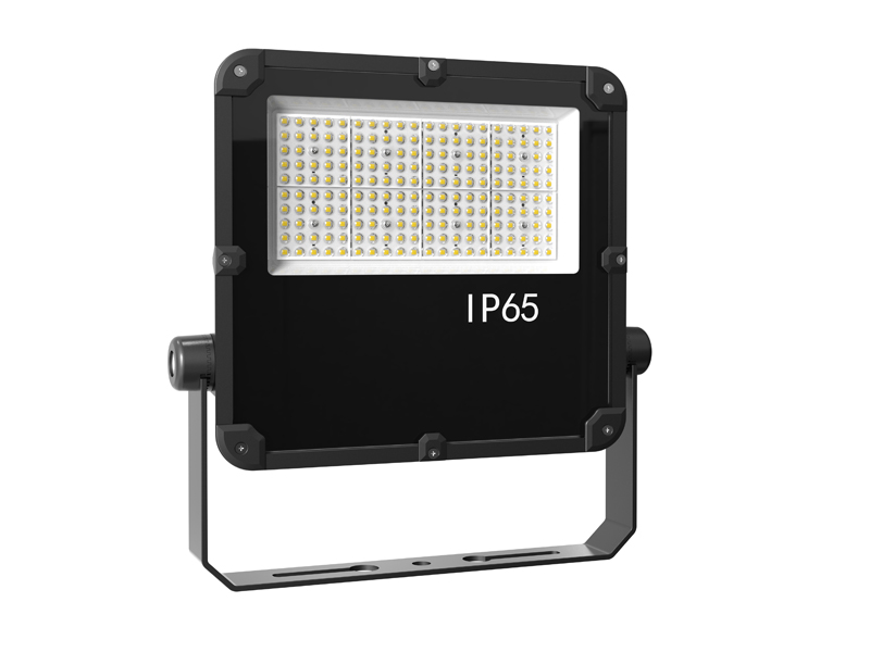 LED Flood light FL09-100