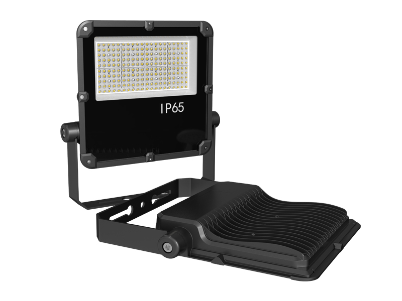 LED Flood light FL09-100