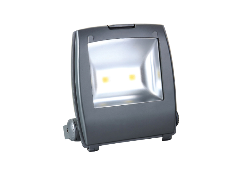 100W LED Flood Light (B series)